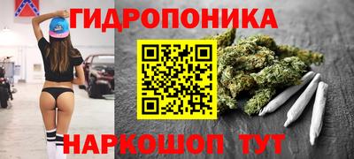 мет Кингисепп
