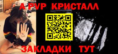 мет Кингисепп